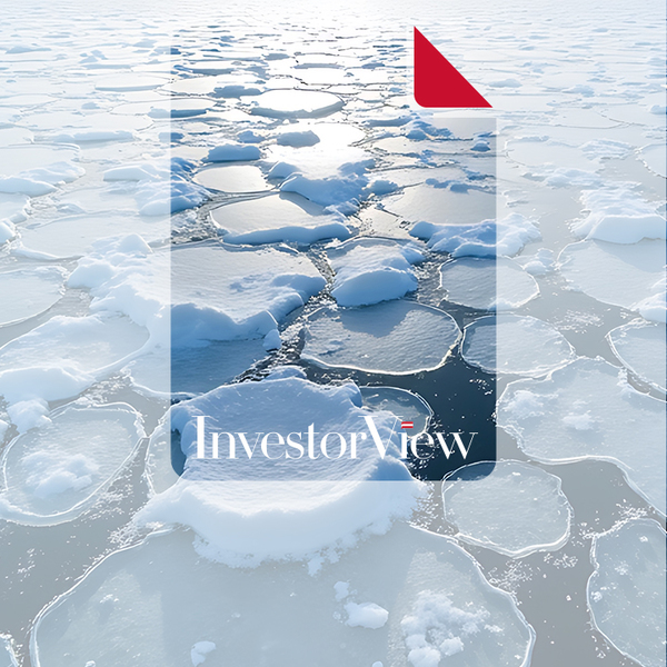 InvestorView Publication Cover 
